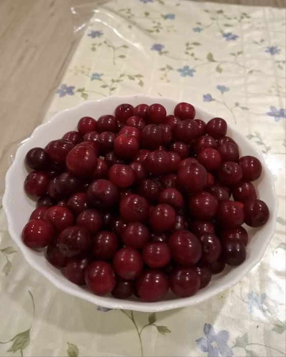 Крупня домашняя спелая вишня