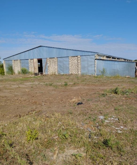 Продам Крестьянское хозяйство