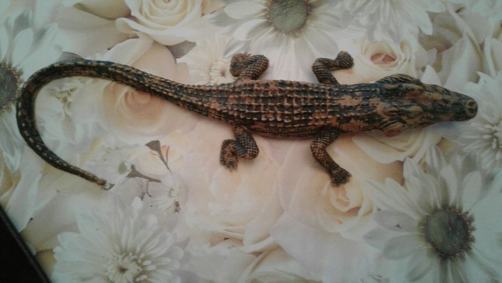 Крокодил.  Макет, модель, экземпляр.