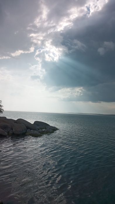 Кабель  Волкодав