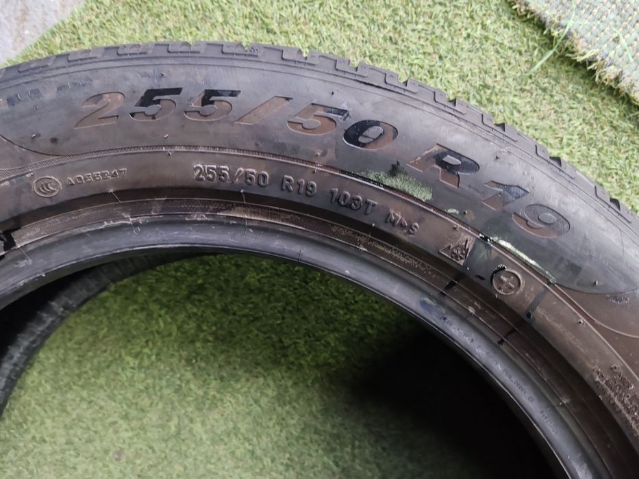 255 50 19 iarna Pirelli