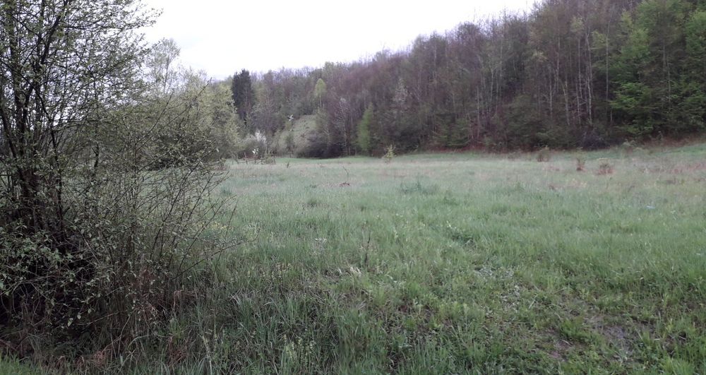 Teren vacanta.Teren la tara.casa vacanta.padure.deal PetrisCorbesti AR