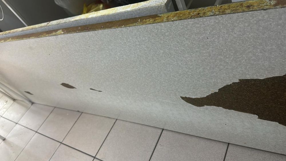 Отдам бесплатно