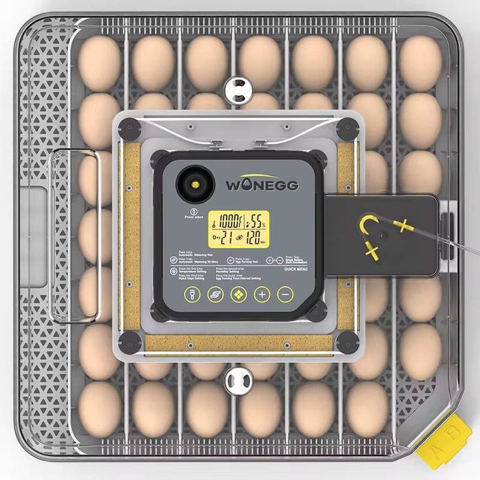 Инкубатор полный автомат 48 талик