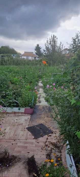 Продам дачу по Кр.Яр трассе