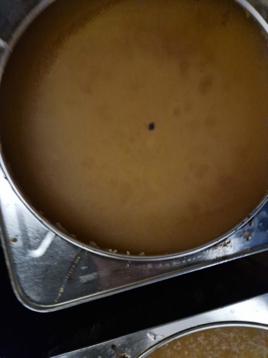 Пчелен билков мед 2025г. Безплатна доставка за Плевен