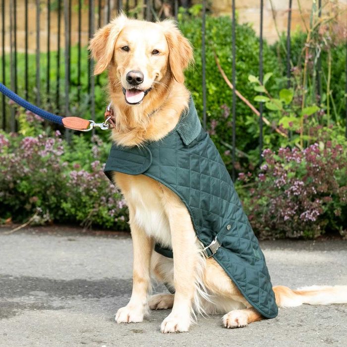 HUGO & HUDSON x HACKETT Капитонирано яке за кучета, зимно палто M40