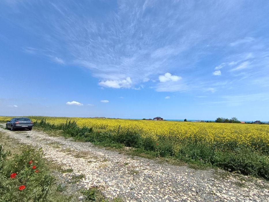 Grund, 890 m²