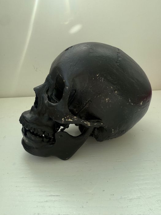 Череп Отливка на истински (модел) на човешки череп, украса за Хелоуин