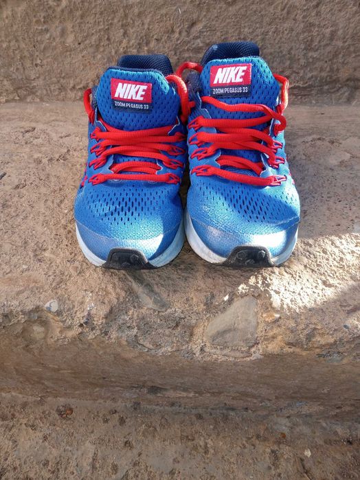 Nike Zoom Pegasus 33