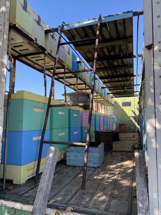 Продам пчелопавилион