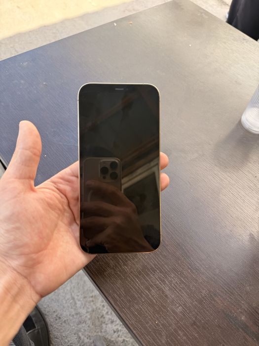 Iphone 12 pro max