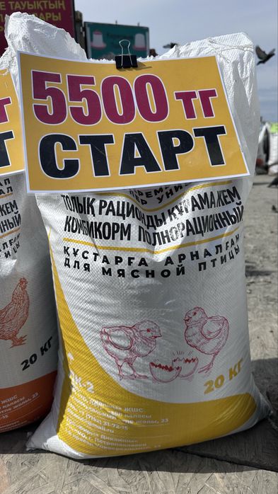 Корм Богданович ,Диканшы