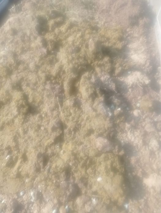 Навоз с бесплатной доставкой