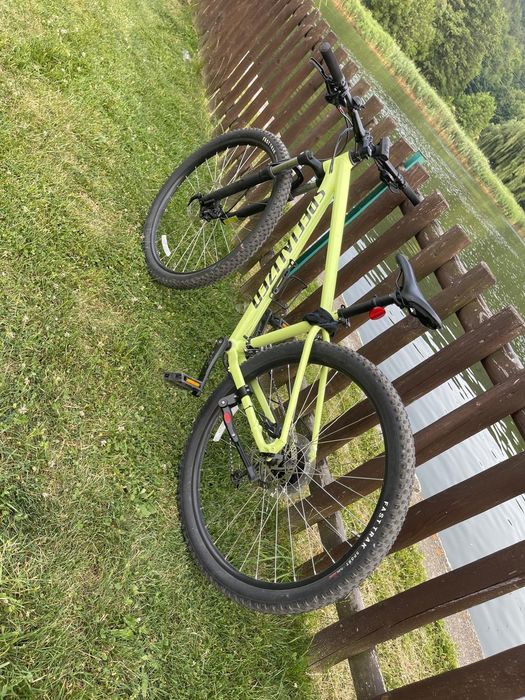 Bicicleta specialized mtb