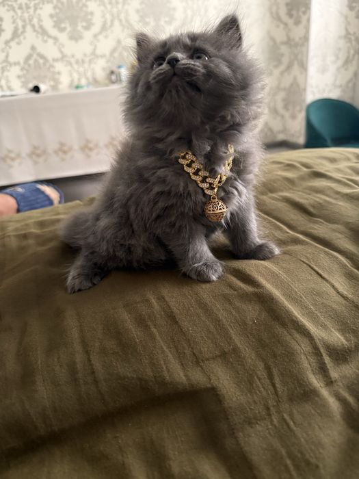 Yetuk qishloq porno rasmlar