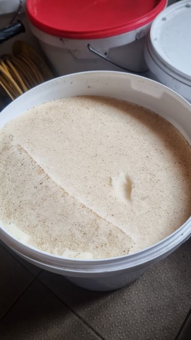 Мёд майский Коробиха