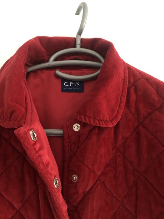 Кожухче пепелно розово