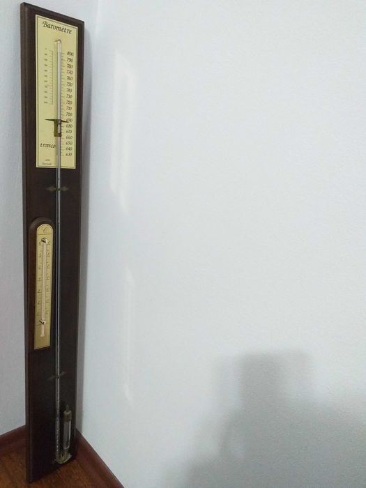 Barometru profesional