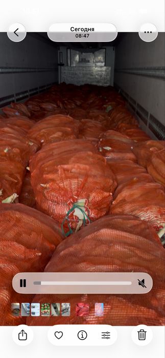 Кукуруза оптом город Актобе