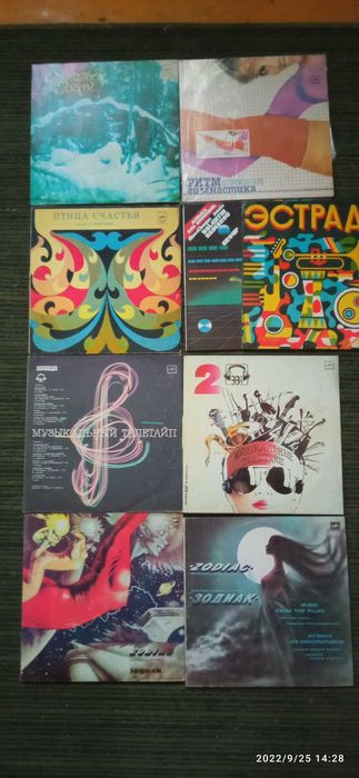 Продаю виниловые пластинки, в обложках, в хорошем состоянии.