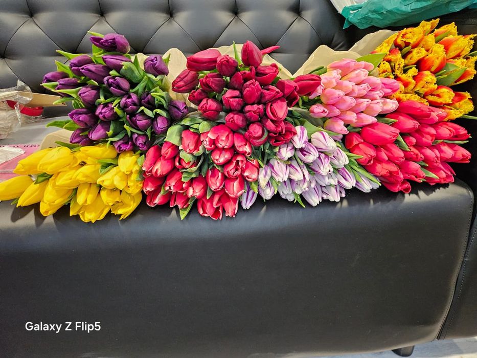 Тюльпаны 700 тг Крупные