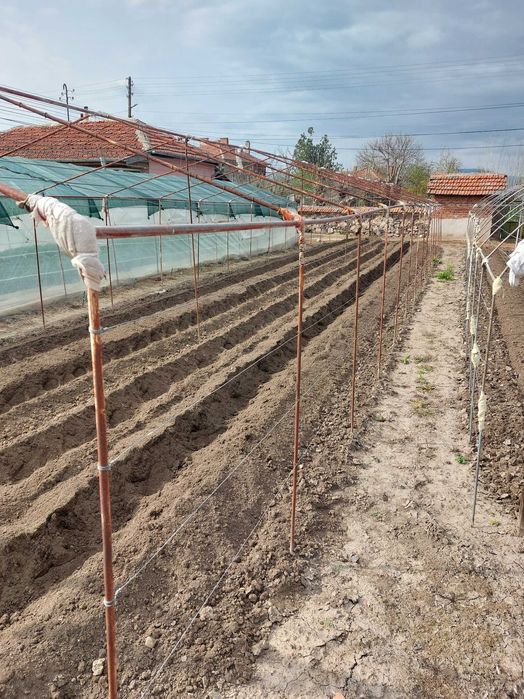 Оранжерия 20/4/2.3 м.