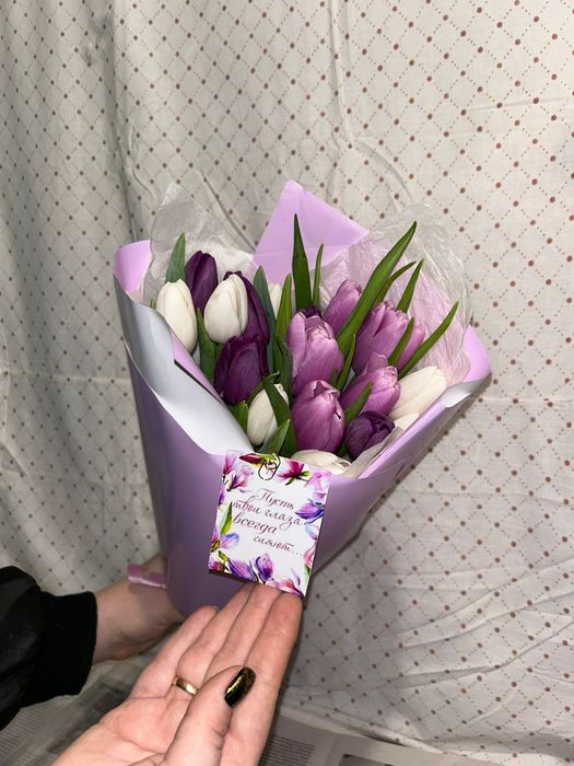 Тюлпаны Город Павлодар Аксу