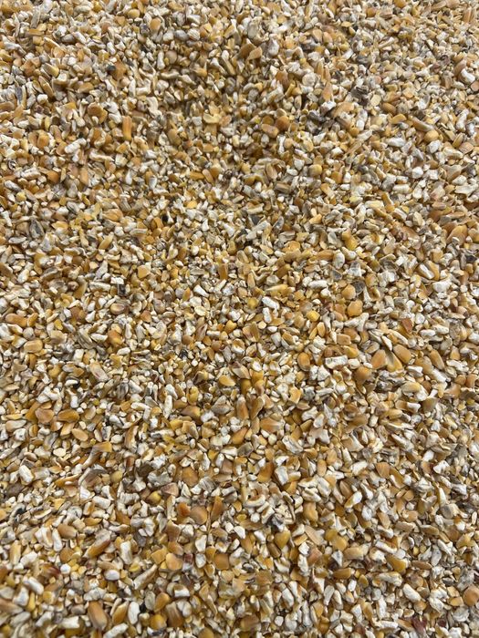 Корма всех видов