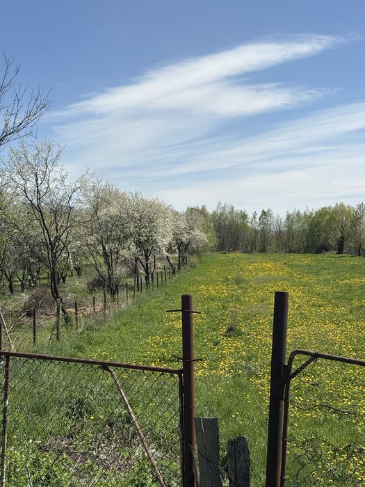 Teren 2000mp Strada 22 Decembrie Moinesti (vasiesti)