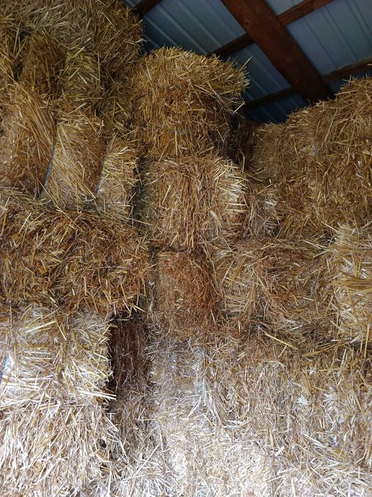 Vând baloti de paie
