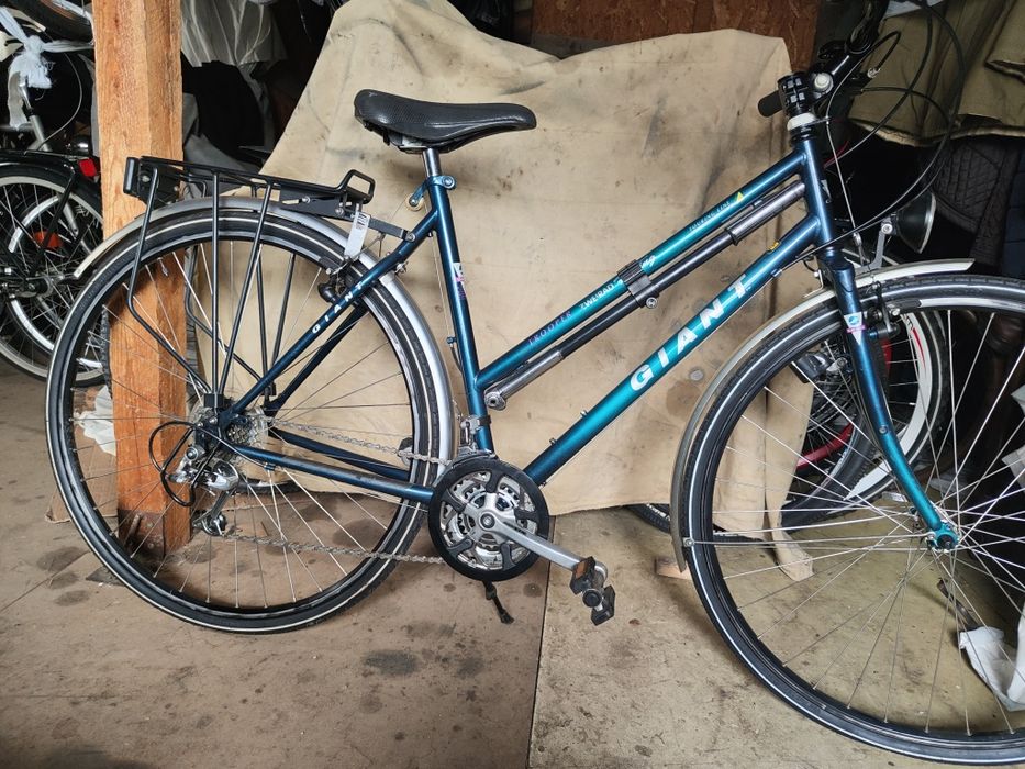 Biciclete olanda italia