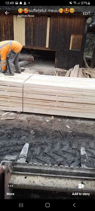 Vindem cherestea de calitate superioara!