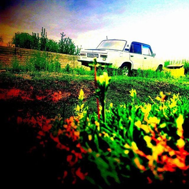 Juguli Vaz lada 1980-yil