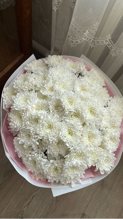 Продам цветы хризантемы