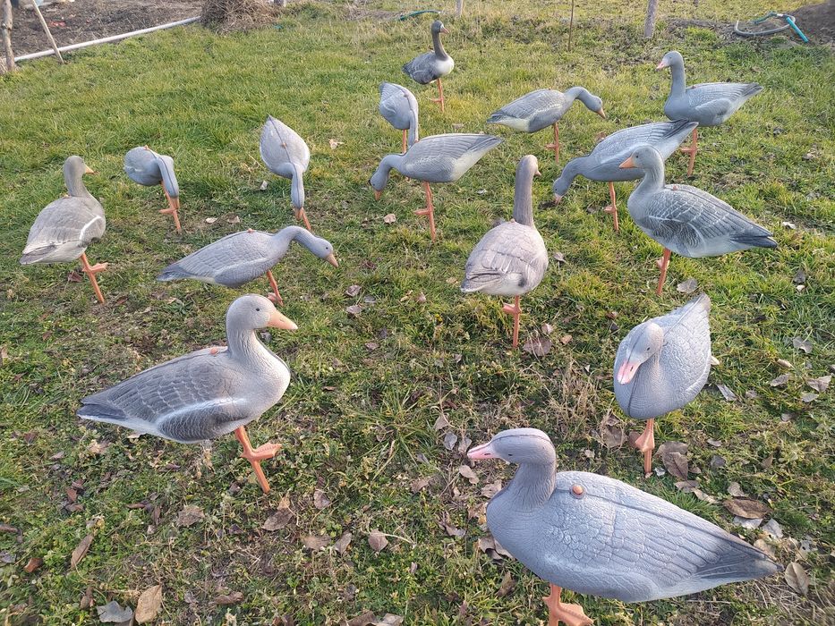Для охотников - подсадные гуси - макеты. 15 штук. Новые .