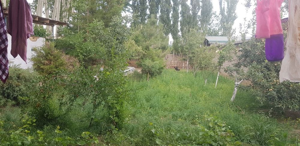 Bo'stonliq tumani, Soyliq qishlog'ida Uy sotiladi