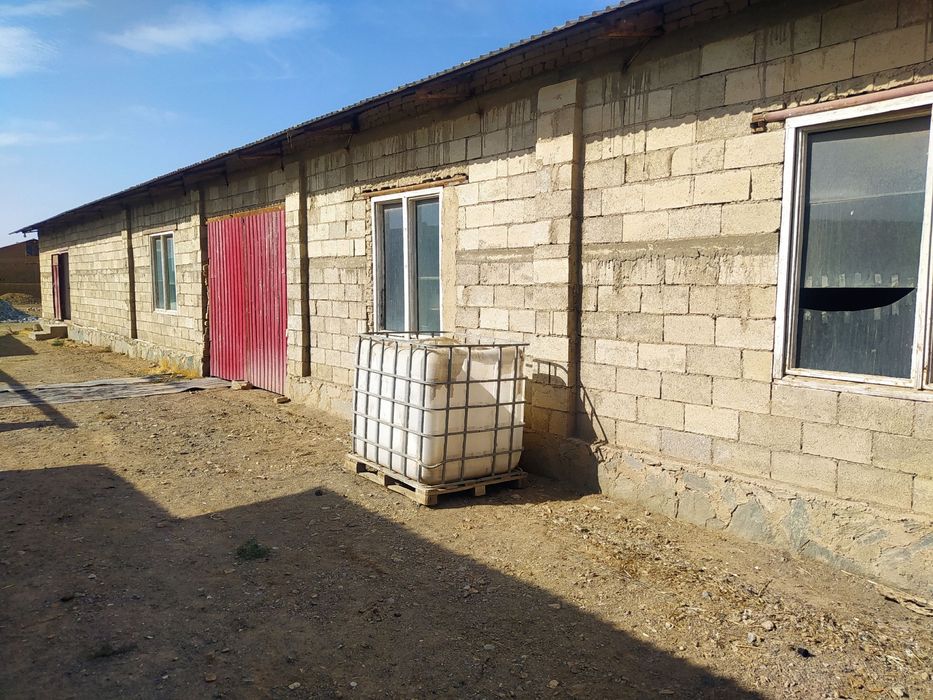 Срочно продается База в Тинчлике