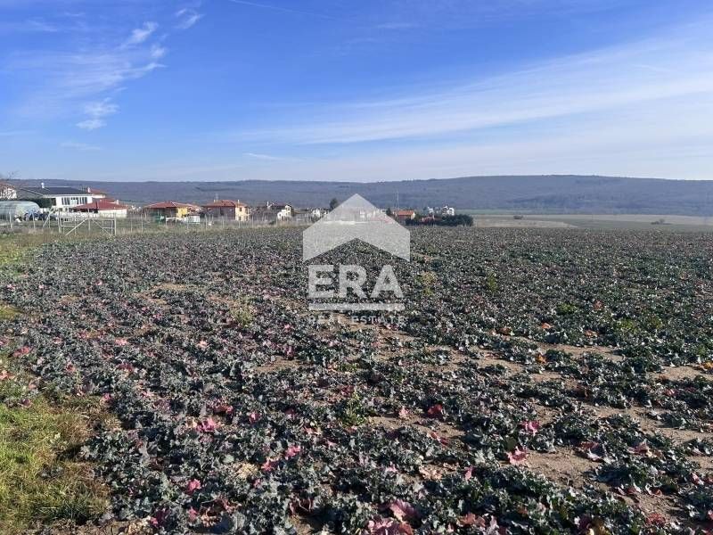 Ексклузивен парцел (разделен на пет) за продажба с ПУП в село Близнаци