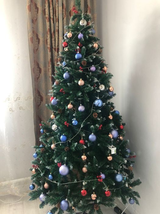 Ёлка Шырша ёлки Новогодние!!