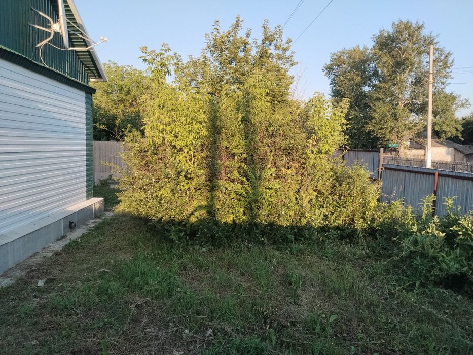 Продам дом в центре села Явленка