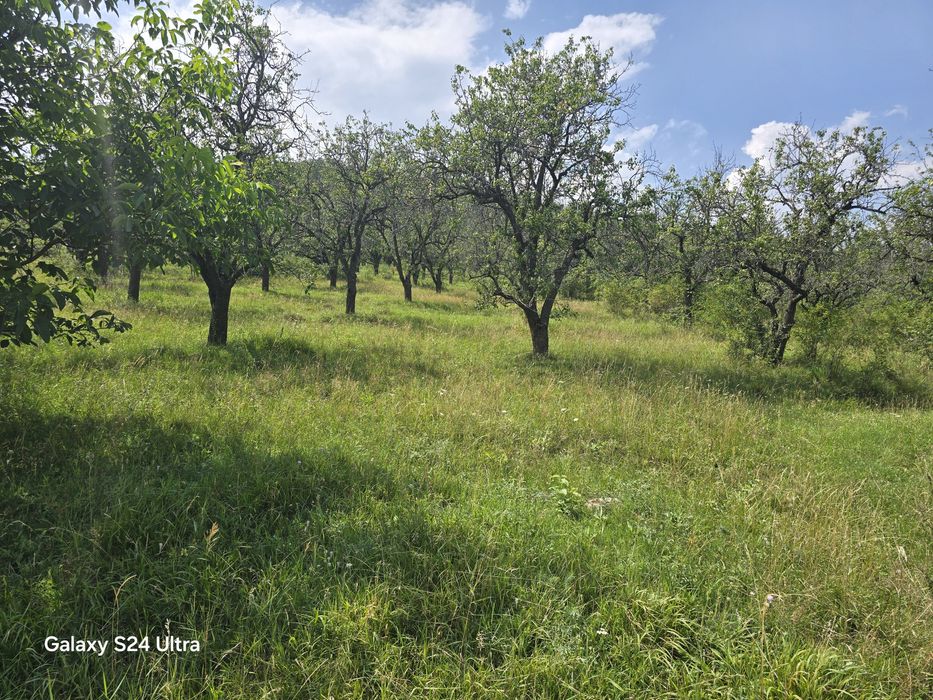 Teren Sat Filioara com Agapia