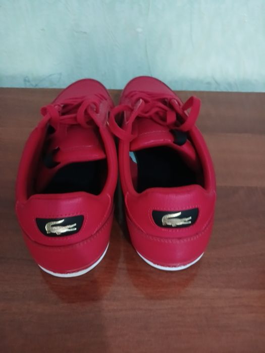 Красовка  LACOSTE жуда мустаҳкам США