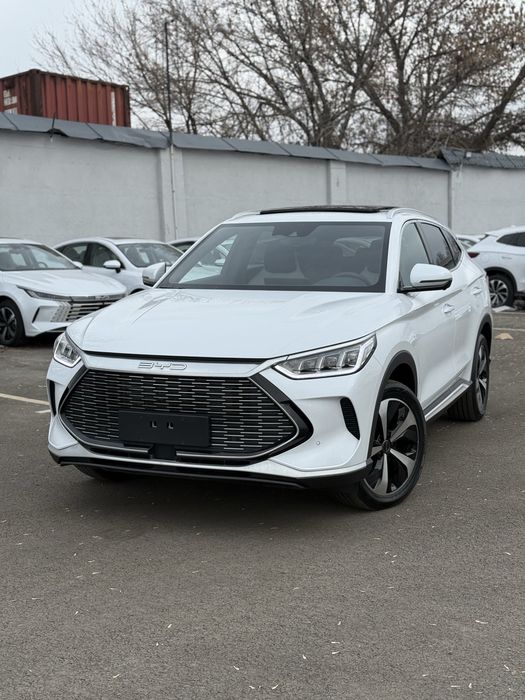 Byd flagship 110 rasrochka