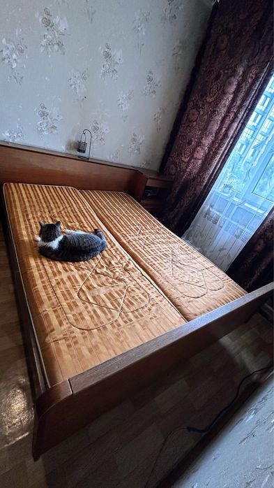 Отдам даром кровать 2-х спальную  (без кота). Беларусь