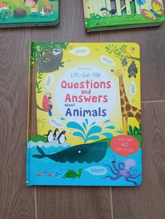 set carti usborne  engleza copii what is poo questions answers garden