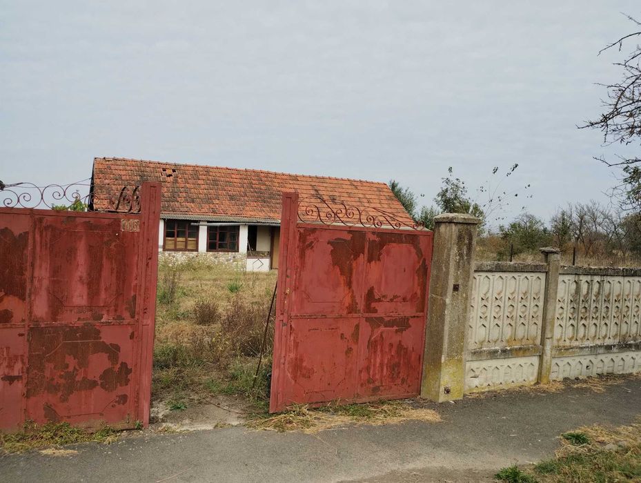Casa veche din 1955 si teren intravilan 6153 mp,Localitate Sinersig,Jud Timis