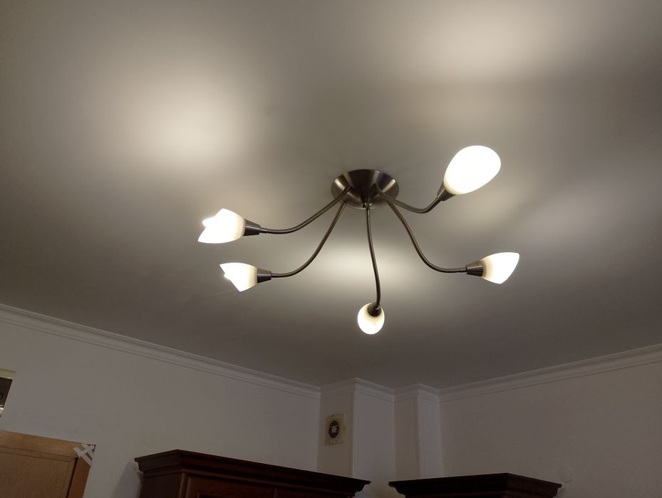 Полилей 2 броя. .