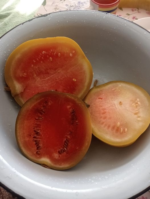 Vând pepeni murați en-gross