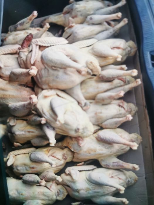 Үндік еті сатылады